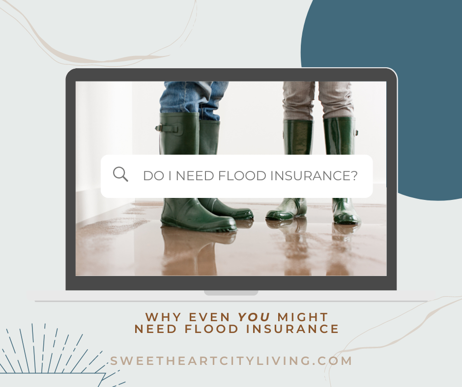 Flood Insurance in Northern Colorado